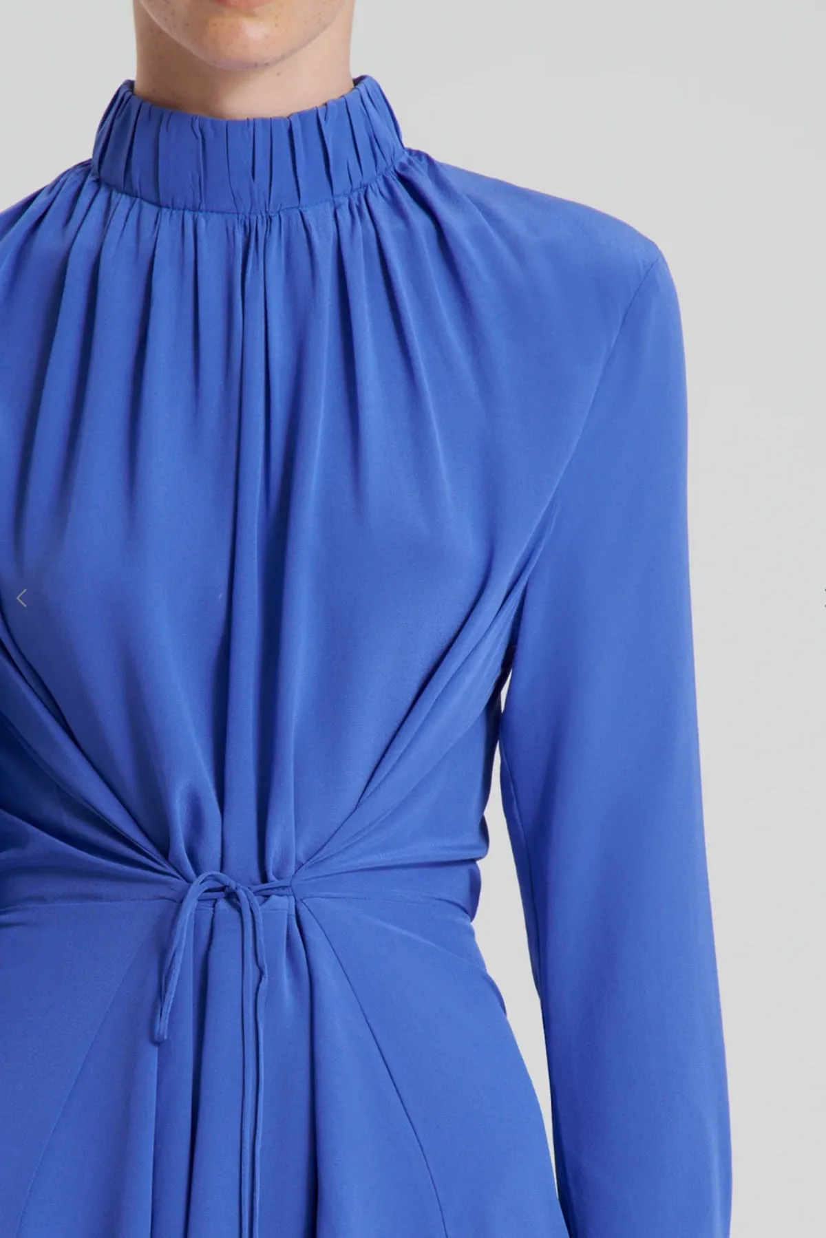 FINAL SALE: Silk Gather Neck Dress by Scanlan Theodore