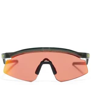 Oakley Hydra - Olive Ink/Prizm Trail Torch